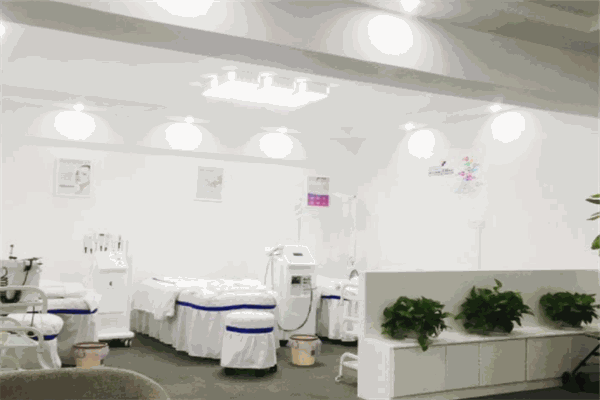 皱博士皮肤管理培训